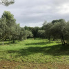 Отель Mas des Oursons - Chambres d'hotes, фото 5