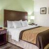 Отель Comfort Inn Lexington South, фото 7