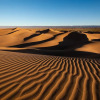 Отель Bivouac Joudour Sahara, фото 10
