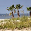 Отель 'the Palm' Bay St. Louis Home - Walk to Beach!, фото 15