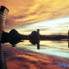 Отель Home on the Cloud, Sky Land, Lake View B&B, фото 4