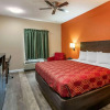 Отель Econo Lodge Inn & Suites Granite City, фото 15