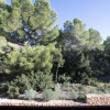Отель Bosc Y Sol Formentera Libre, фото 18
