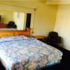Отель Oasis Motel, фото 5