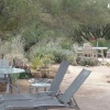 Отель Oro Valley Desert Casita Retreat, фото 10