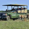 Отель Shamwari Lobengula, фото 38