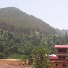 Отель Shankhu Homestay, фото 1