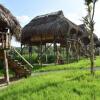 Отель Sunny Field Eco Stilt House, фото 6