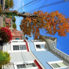Отель Island Home Bed and Breakfast, фото 1