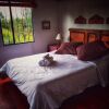 Отель Finca Agrreste Bed & Breakfast, фото 4