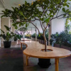 Отель Cozy And Great Choice Studio At Grand Kamala Lagoon Apartment, фото 15