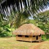 Отель Palmlea Farms Lodge & Bures на Острове Нукубати