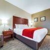Отель Comfort Inn & Suites North Platte I-80, фото 6