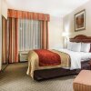 Отель Comfort Inn & Suites Galt - Lodi North, фото 48