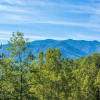 Отель Rocky Top Lookout, фото 1