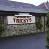 Отель Trickys Hotel, фото 1