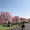 Отель Tokyo Toneri Garden House-Stay, фото 13