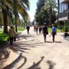 Хостел New Hostel Sochi, фото 20