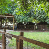 Отель Cypress Creek Cottages, фото 21