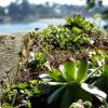 Отель Golfe du Morbihan - Maison avec vue sur mer à Baden, фото 16