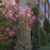 Отель Palmira Hotel, фото 5