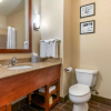 Отель Comfort Inn & Suites Galt - Lodi North, фото 10