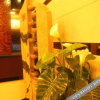 Отель Shuhan Hotel, фото 11