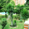 Отель Apartamentos San Carlos, фото 14