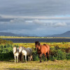 Отель Breathtaking Wildness on Ireland's Atlantic Coast, фото 6