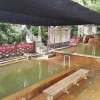 Отель Hot Spring Hotel, фото 18
