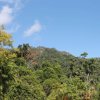 Отель Whitsundays Rainforest Retreat, фото 22