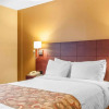 Отель Quality Hotel & Suites, фото 22
