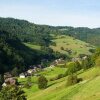 Отель Historisches Landgasthaus zur Linde, фото 18