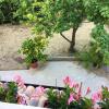 Отель House With one Bedroom in Chieti, With Enclosed Garden and Wifi - 14 k, фото 10