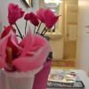 Отель Il Ciclamino Bed and Breakfast, фото 5