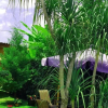 Отель Hostal Deyluwin, фото 9
