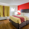 Отель Red Roof Inn Austin - Round Rock, фото 4