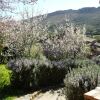 Отель Rural Farmhouse in Valencia de AlcÃntara with Pool, фото 1