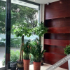 Отель City Comfort Inn Guilin Xiangbi Mountain Park, фото 8