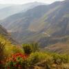 Отель La Granja del Colca, фото 48