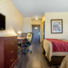 Отель Comfort Inn & Suites, фото 25