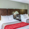 Отель Comfort Inn Raleigh, фото 4