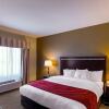 Отель Comfort Suites University, фото 21