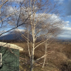 Отель Niseko Annupuri Cottage momo, фото 19
