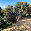 Отель Fantastico San Teodoro Fraili LUC02, фото 15
