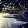 Отель Le Rocher de Tahiti, фото 3