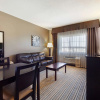 Отель Best Western Plus Peace River Hotel & Suites, фото 3