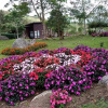 Отель Spring Garden, фото 9