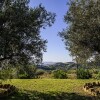 Отель Salemi Agriturismo, фото 23