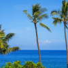 Отель Kona Makai 2-201, фото 19
